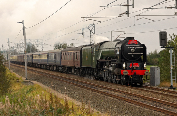 60163 heads the 'Caledonian Tornado' past Hest Bank on 21.9.11 for Glasgow.