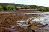 62005 rolls along the shores of Loch Eil with the morning 'Jacobite'.