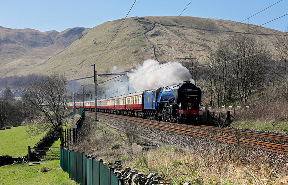 60532 'Blue Peter' passes Low Borrowbridge with the first 'Lakelander' tour on 5.4.25.