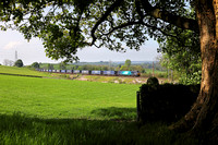 88005 heads past Natland with 4S43 Daventry to Mossend on 11.5.24.