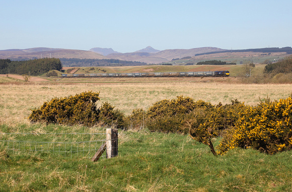 66426 approaches Blackford with the service from Mossend on 20.4.23.