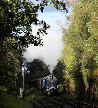 60007 heads through the shadows on the approach to Goathland.