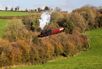46447 approaches Mendip Vale on 26.10.20 on the East Somerset Railway.