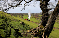'Tom Rolt' approaches Brynglas on the Talyllyn Railway.