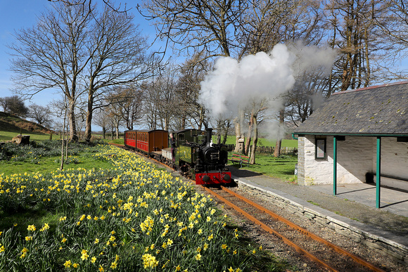 No 7 'Tom Rolt' approaches Rhyd-yr-onen during a David Williams charter on 16.3.20