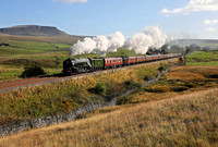 60163 Tornado passes Far Moor Selside on 21.10.21 with the A1 Societys 'Tornado & Flying Scotsman Over The Settle & Carlisle' railtour.