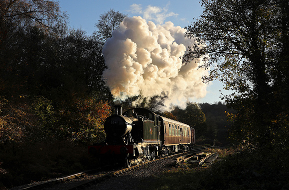 5541 passes Tufts on the Dean Forest Railway on 8.11.19 during a excellent Mike Tyack charter.