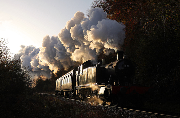 5541 heads past Upper Forge on the Dean Forest Railway during a Mike Tyack charter.