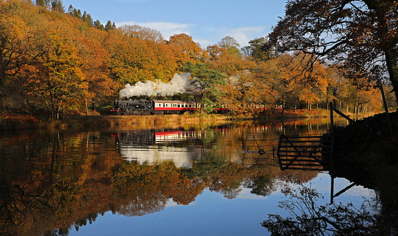 42073 runs along the River Leven at Landing How on 2.11.19 during a Peter Van Campenhout charter.