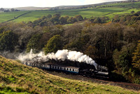 49395 arrives at Irwell Vale during the East Lancs Gala on  23.10.11.