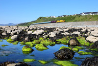 97302 & 37685 head around the coastline nr llandanwg on 16.5.25 with 1Z68 16.23 Pwllheli to Bristol Temple Meads .