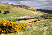 45407 climbs away from Rogart at Ardachu on the Far North line with ' The Great Britain XVII' day 6, 1.5.25